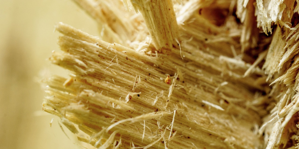 木材が裂かれて、繊維が見えている様子です。
