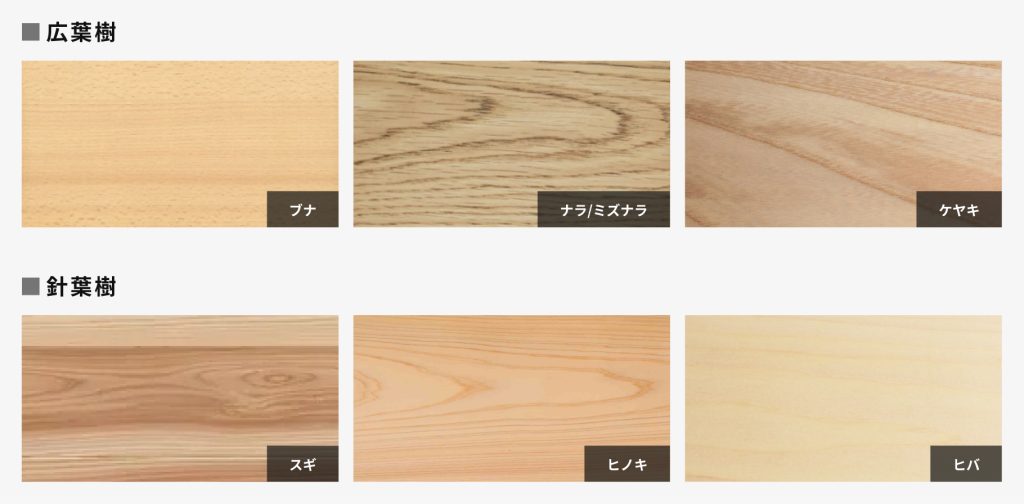 樹種の画像です。6種の木材の画像が並んでおり、上の段に3つ広葉樹、左からブナ、ミズナラ、ケアキ、下の段に3つ針葉樹、スギ、ヒノキ、ヒバが並んでいます。